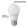 Lámpara de LED tipo bulbo A19 6 W, luz de día, caja