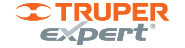 Expert